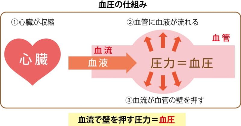 ショックの4つの分類と初期対応